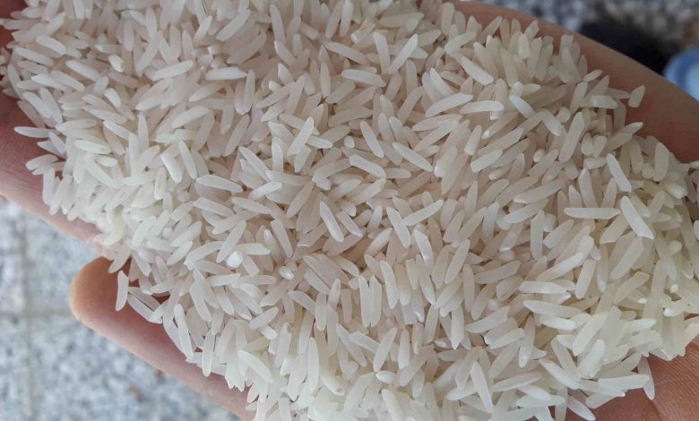 احتمال افزایش شکستگی برنج در صومعه سرا